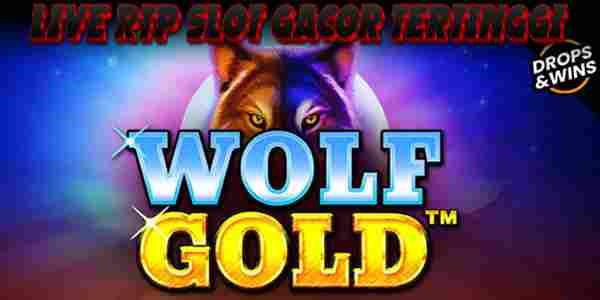 Bocoran Link Live RTP Slot Gacor Tertinggi Hari Ini Jackpot Terbesar Wolf Gold